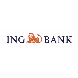 ING BANK SULTANGAZİ ŞUBESİ