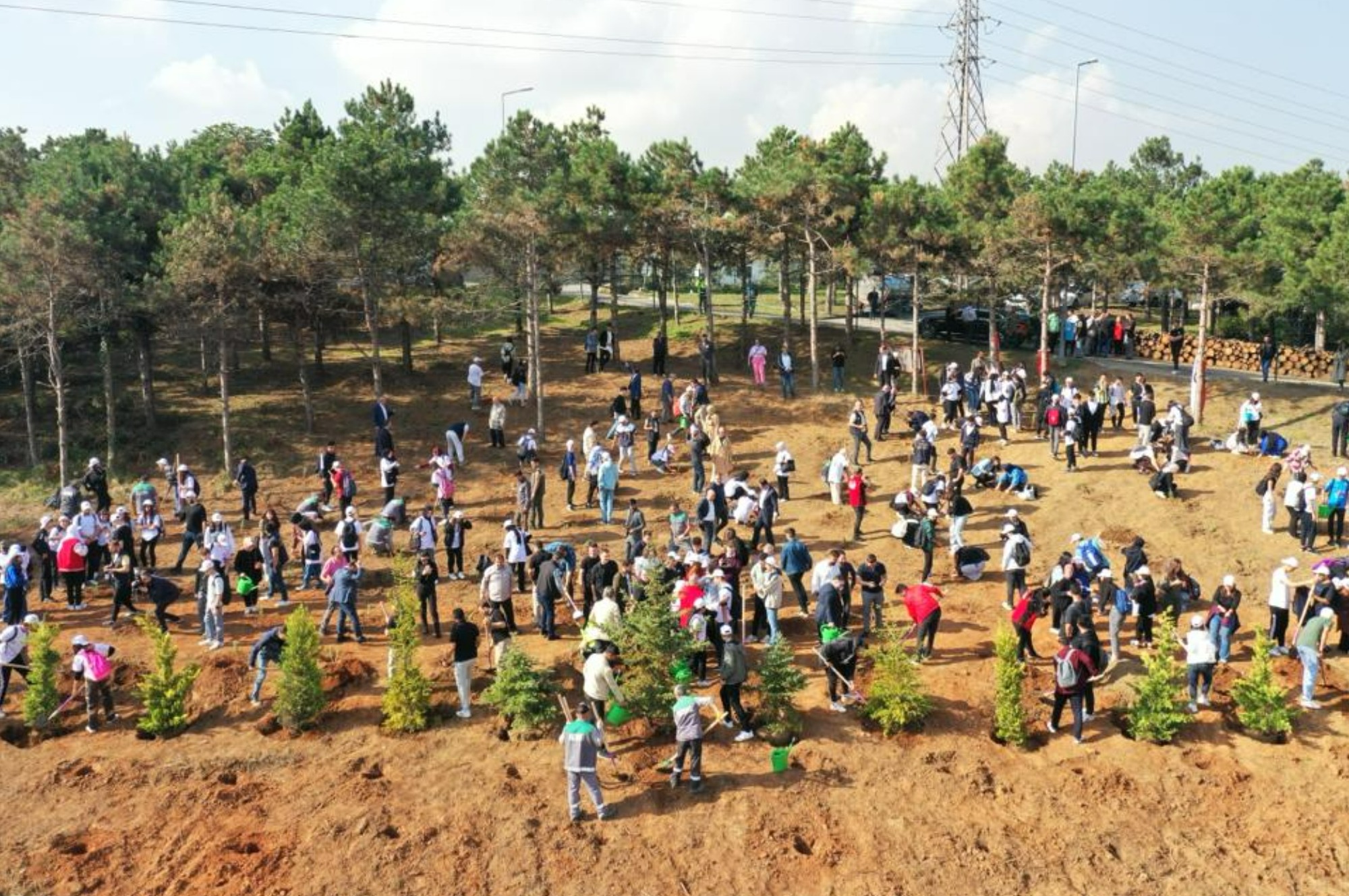 Sultangazi’de Cumhuriyetin 100. Yılında 1923 Fidan Dikildi